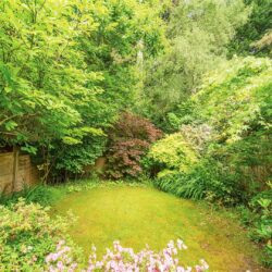 Thumbnail Image 16