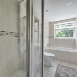 Thumbnail Image 10