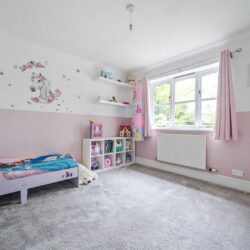 Thumbnail Image 13