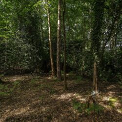 Thumbnail Image 23