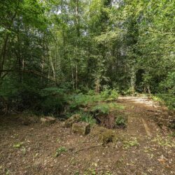 Thumbnail Image 31