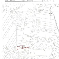 Thumbnail Image 43