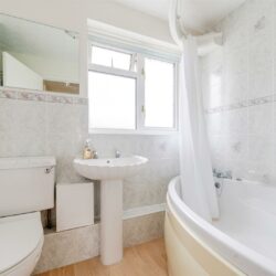 Thumbnail Image 15