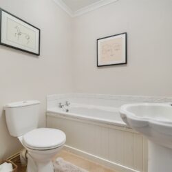 Thumbnail Image 15