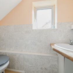 Thumbnail Image 10