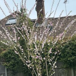 Thumbnail Image 20