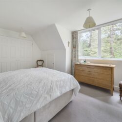 Thumbnail Image 11