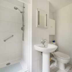 Thumbnail Image 12