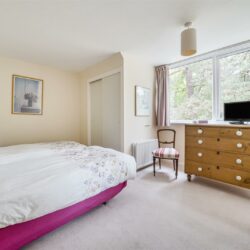 Thumbnail Image 14