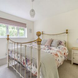Thumbnail Image 17