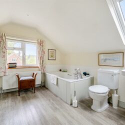 Thumbnail Image 15